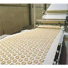 饼干生产食品输送带